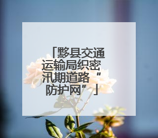 黟县交通运输局织密汛期道路“防护网”